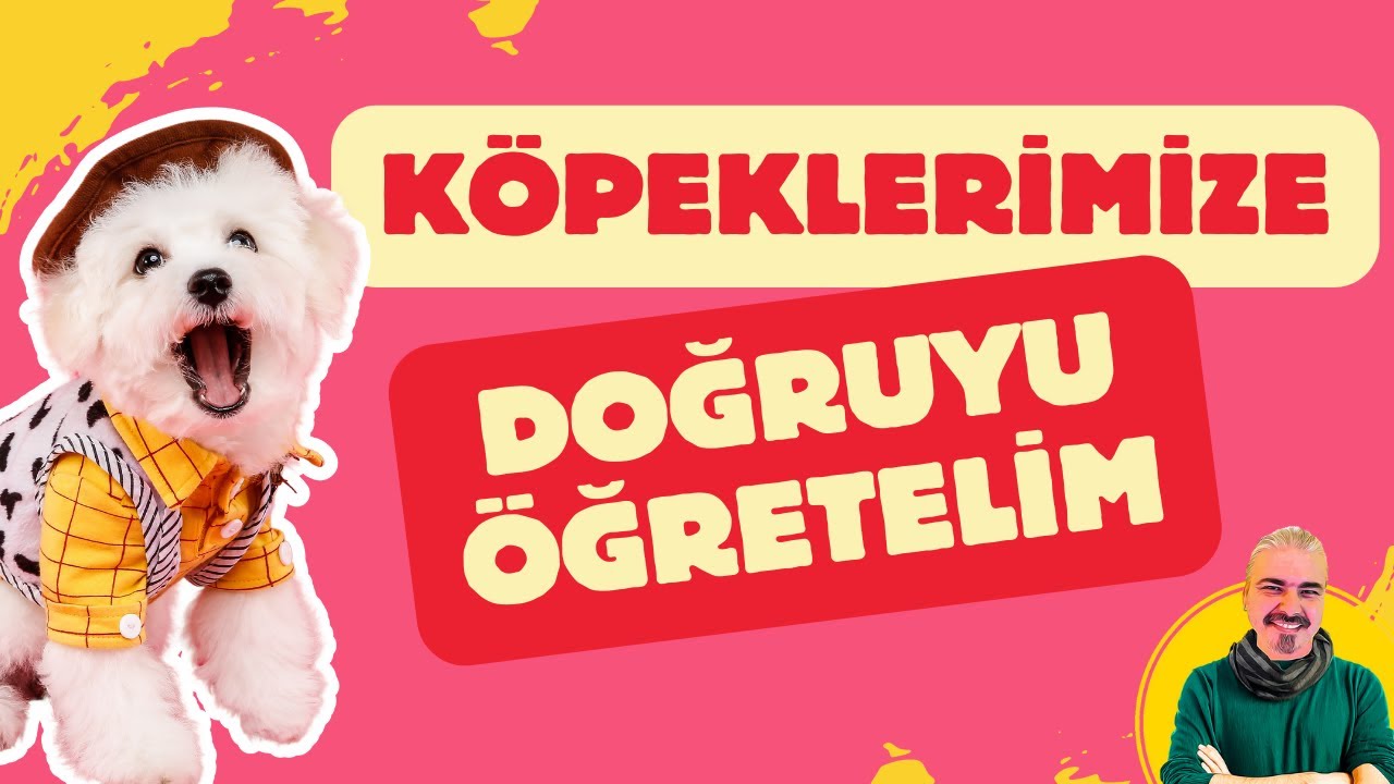 Köpeklerimize Doğruyu Öğretelim | Hayır Komutu | Köpek Eğitimi