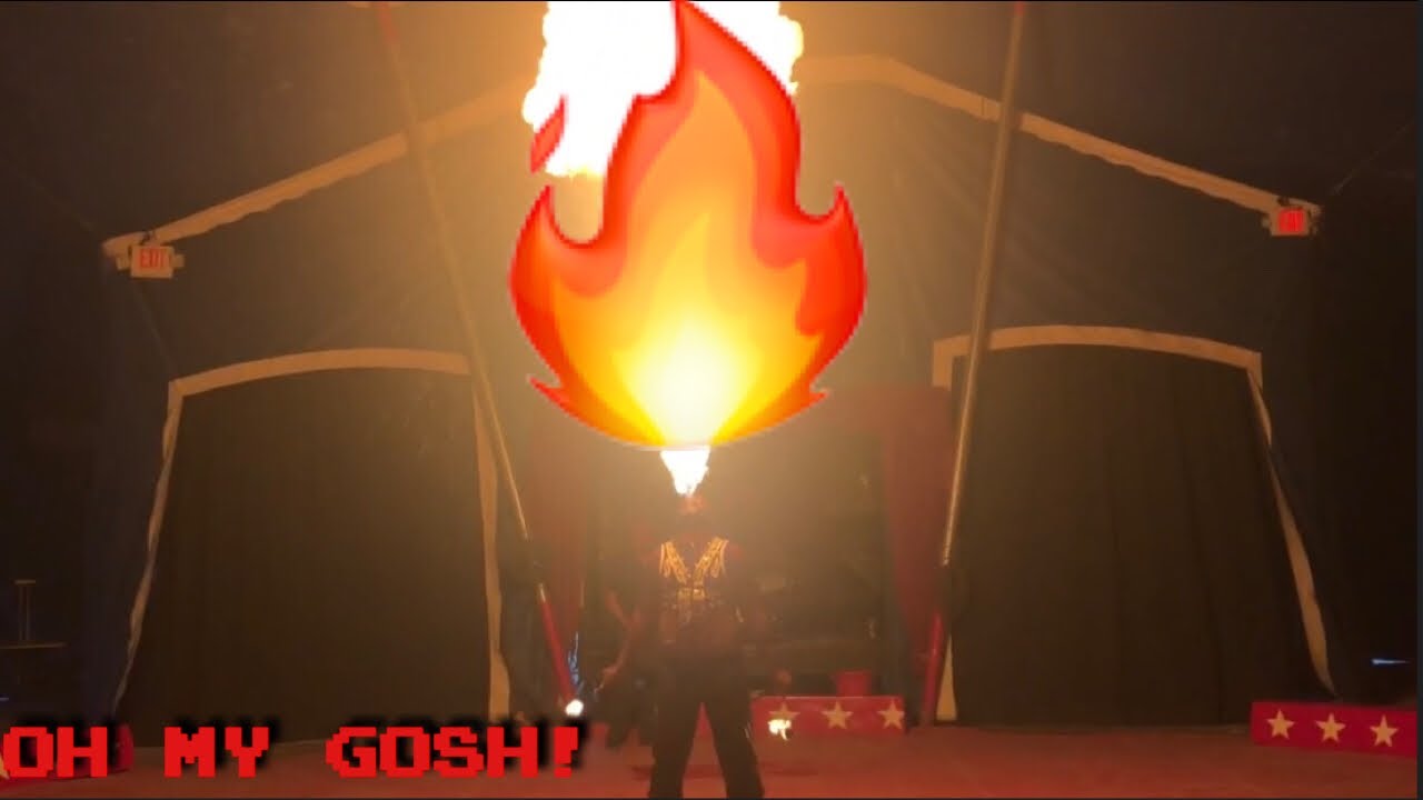 A day at the worlds BEST Circus