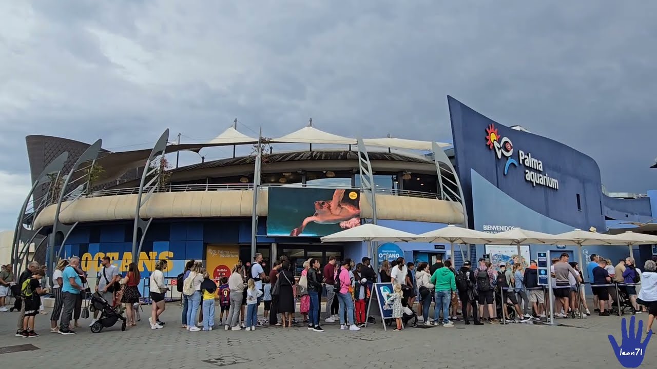 Palma Aquarium. Mallorca