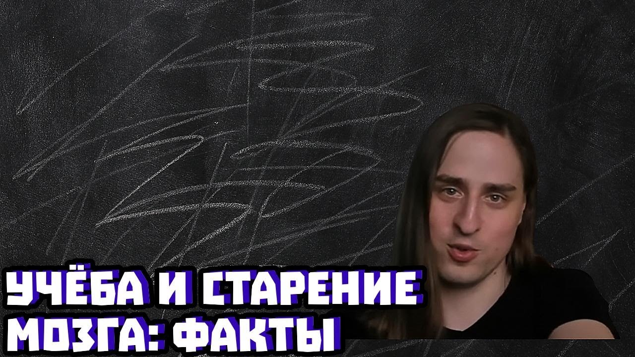 Учёба и старение мозга: факты | Владимир Алипов