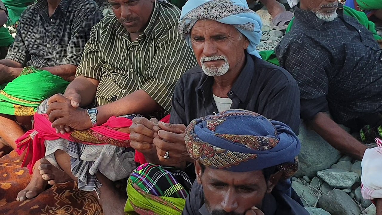 سمره دان قبيله البابحيث المحمدي السيباني في وادي حرو