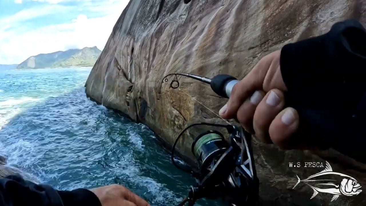 PESCARIA DE JOGADINHA  COM TATUI NO COSTÃO (TODA HORA TEM🎣)