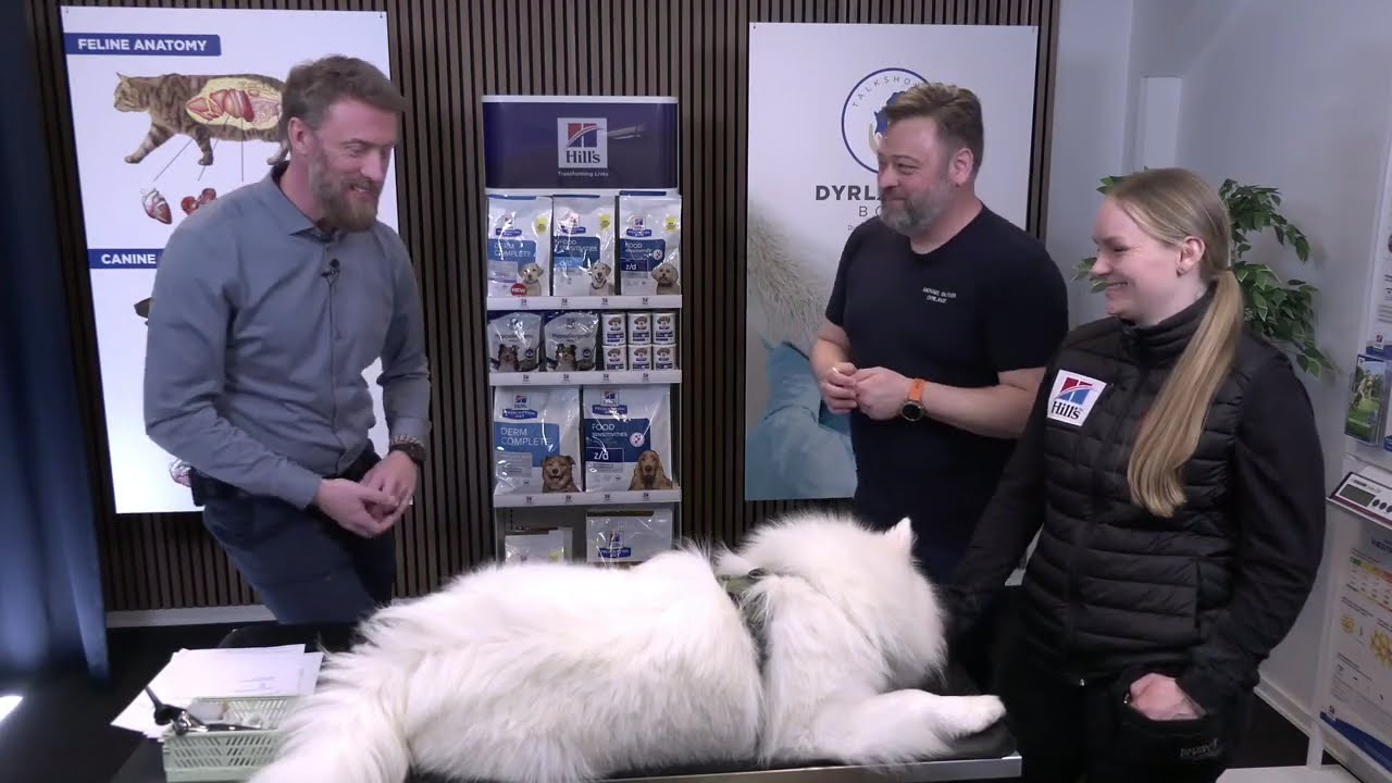 Dyrlægens Bord - kløe og allergi hos hunde