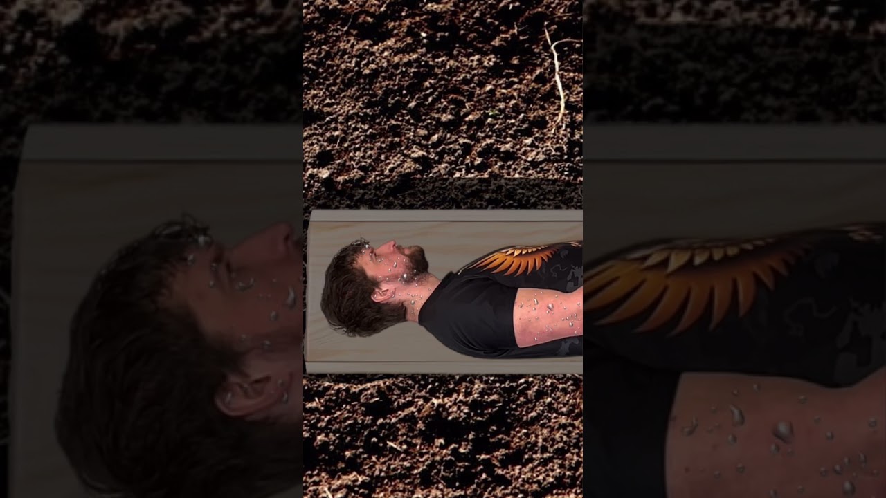 С 4 июля, мои маслянистые соседи @zackdfilms