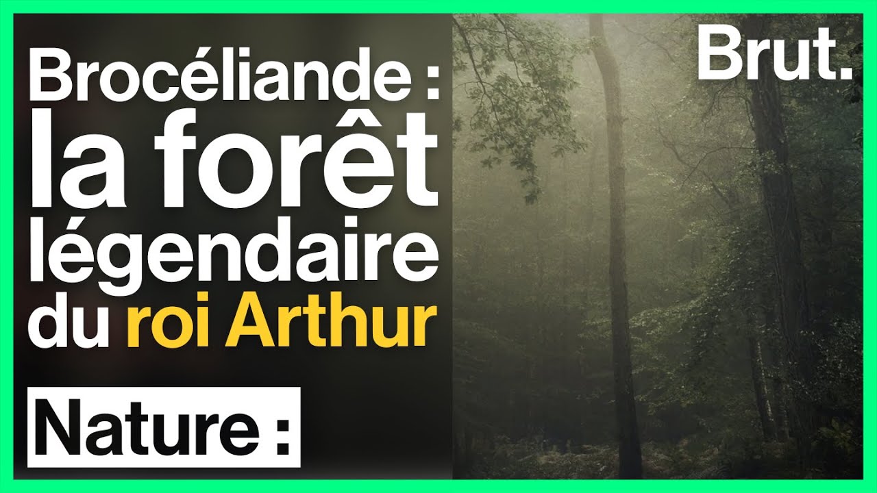 Brocéliande : la forêt légendaire du roi Arthur