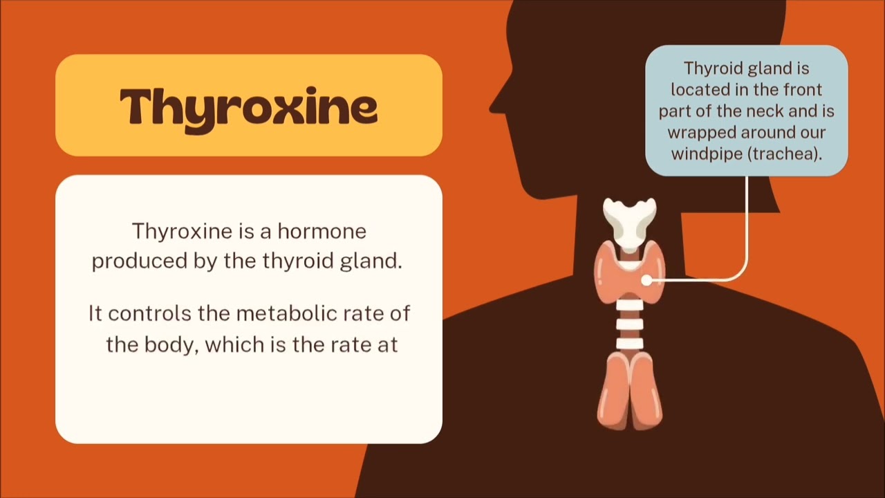 Hormones, their roles and homoeopathic medicines (sarcodes).
