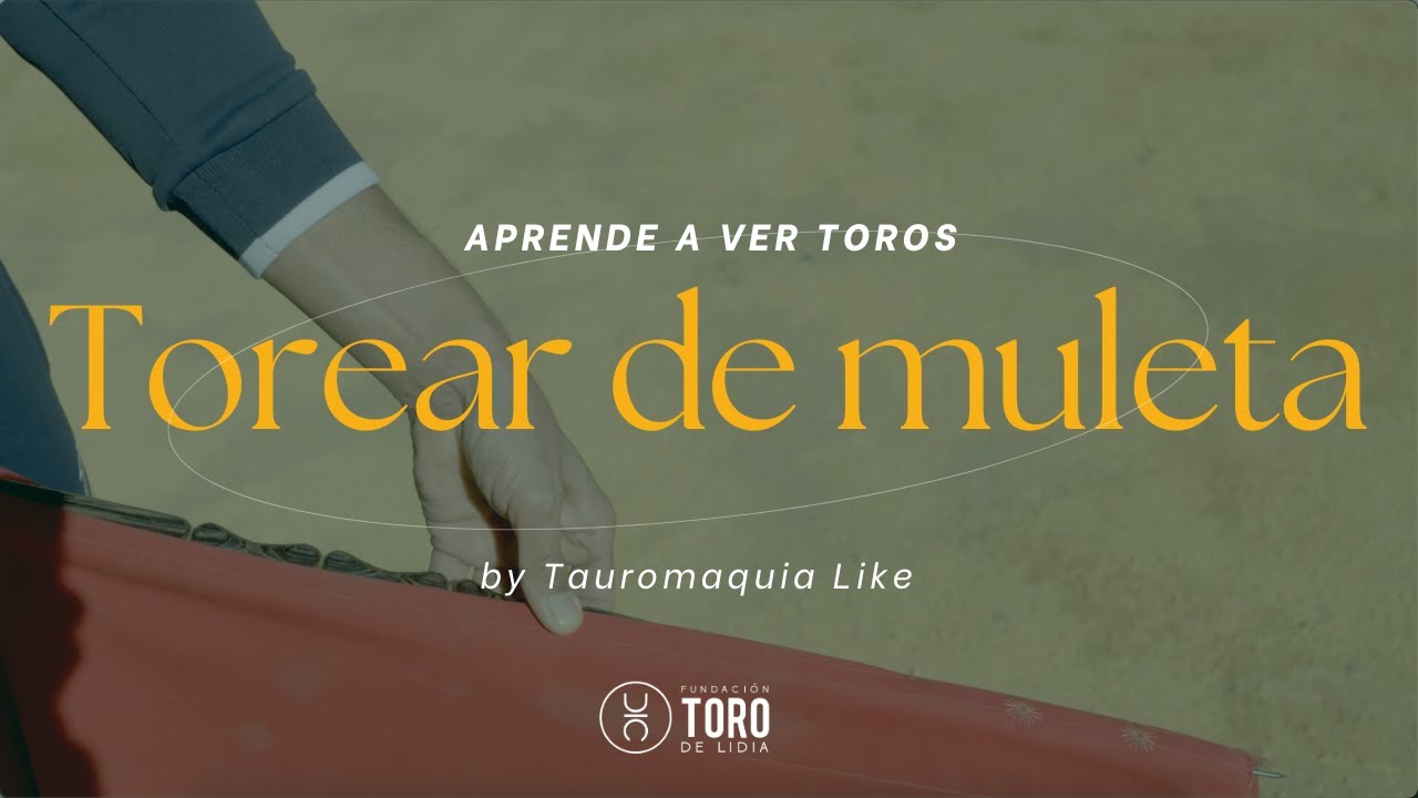 Torear de muleta | APRENDE A VER TOROS by Tauromaquia Like