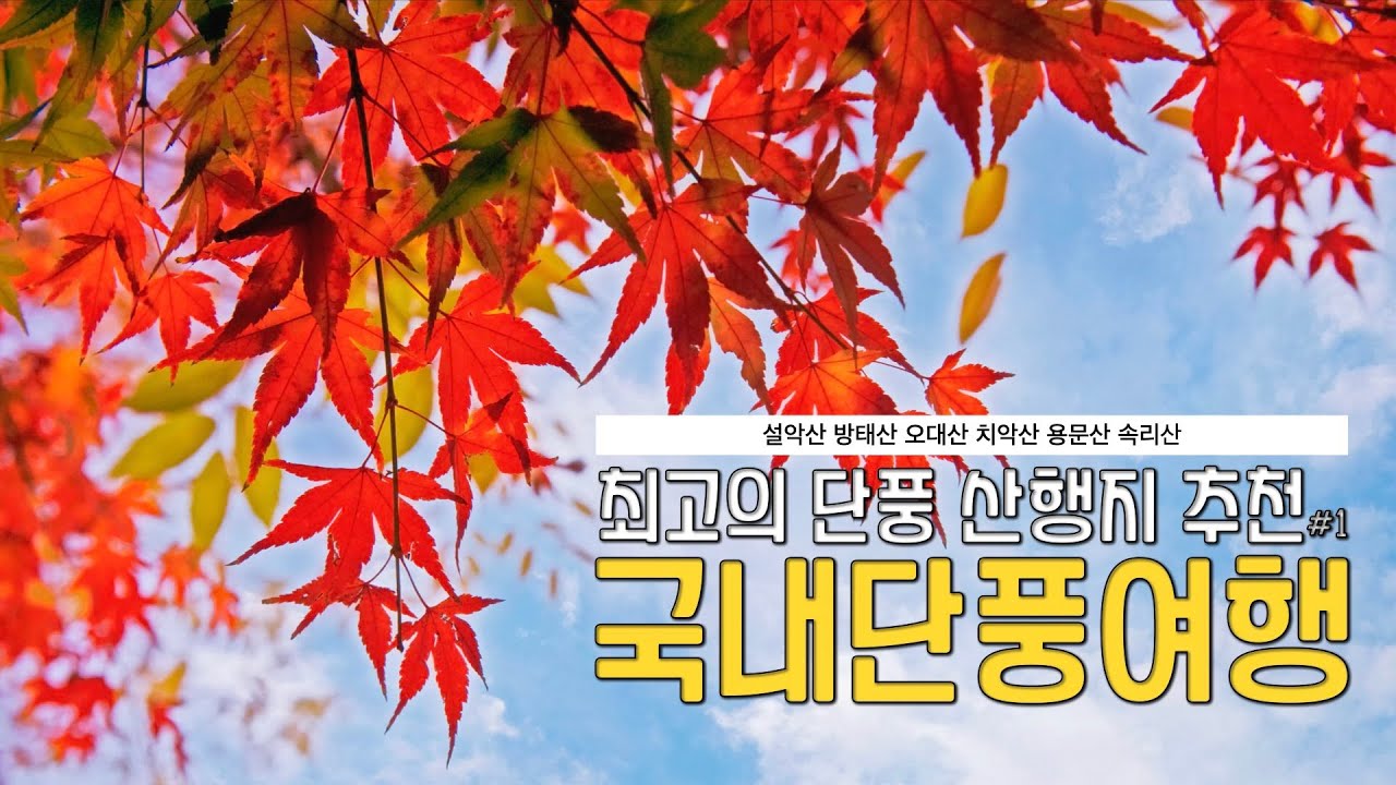 BEST단풍여행장소/단풍산행지/단풍놀이가기좋은곳