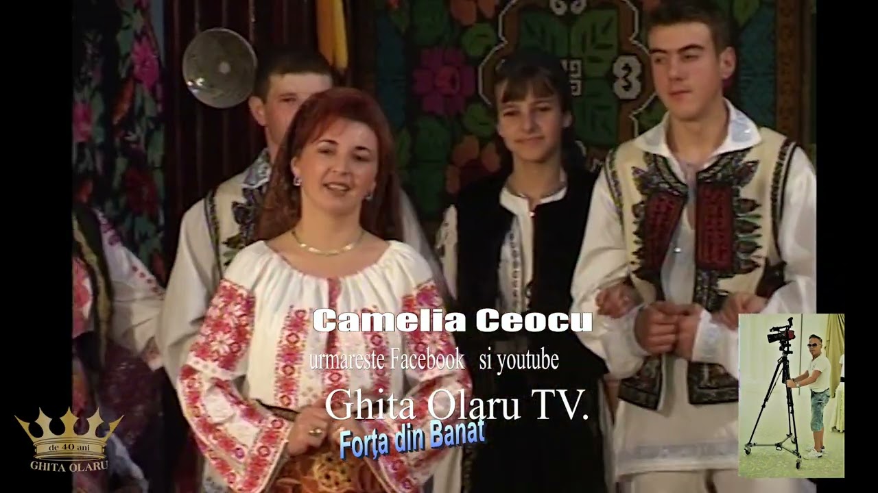 Camelia Ceocu -  Mi i dor satule de tine