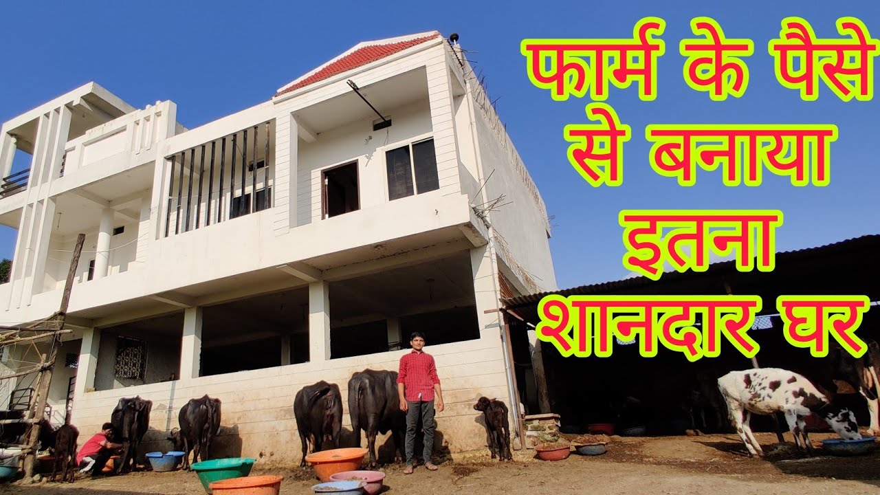 फार्म के पैसे से बनाया इतना शानदार घर//Patel dairy farm ujjain Madhya Pradesh