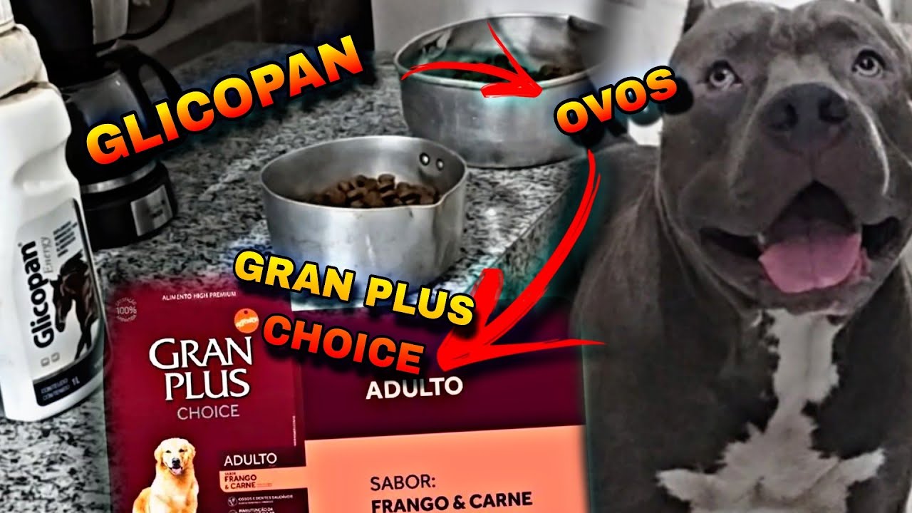 ração Gran plus choice e Boa?
