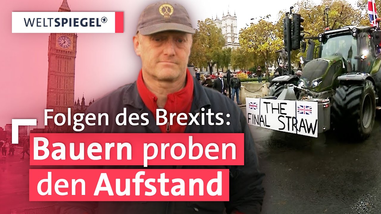 Wie die Regierungen Großbritanniens die Landwirtschaft ruinieren | Weltspiegel