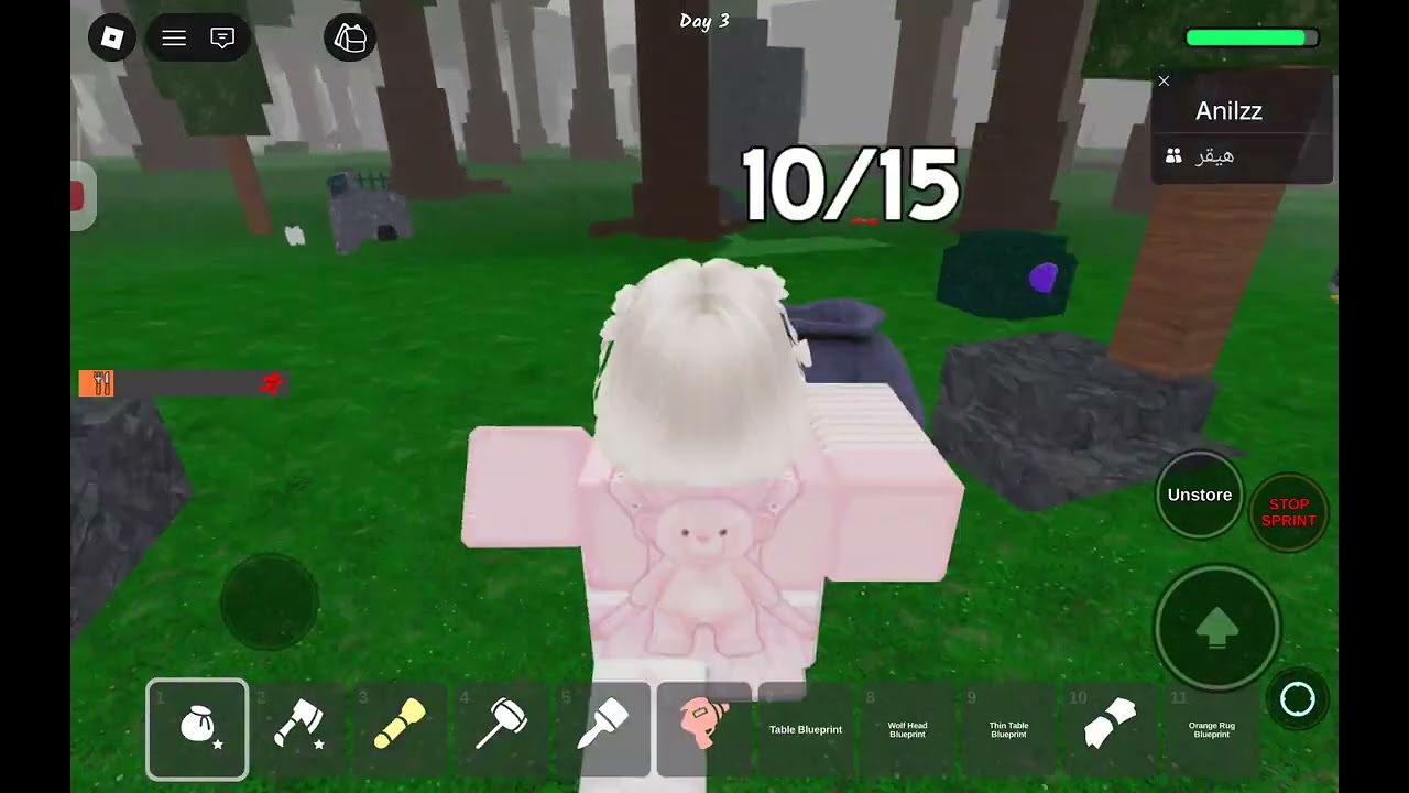 حاولنا أن نسوي مطعم بس رقيه ماتت 