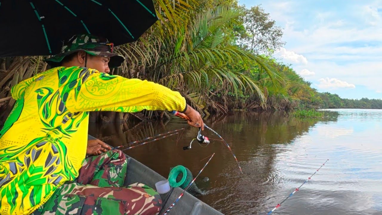 GANAS NYA TARIKAN UDANG GALAH BESAR DI SUNGAI INI
