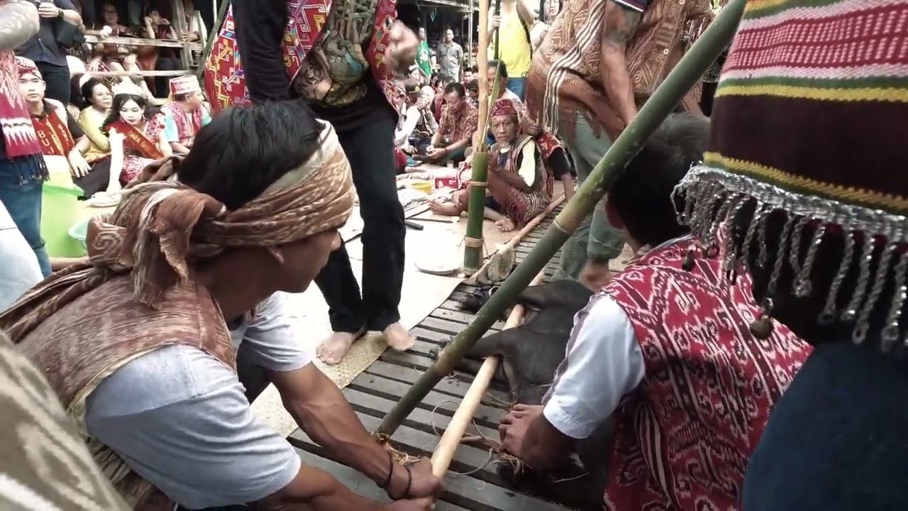 Vlog Trip Kapuas Hulu - Festival Rimba Sungai Utik II 2024 #DayakIban #sungaiutik
