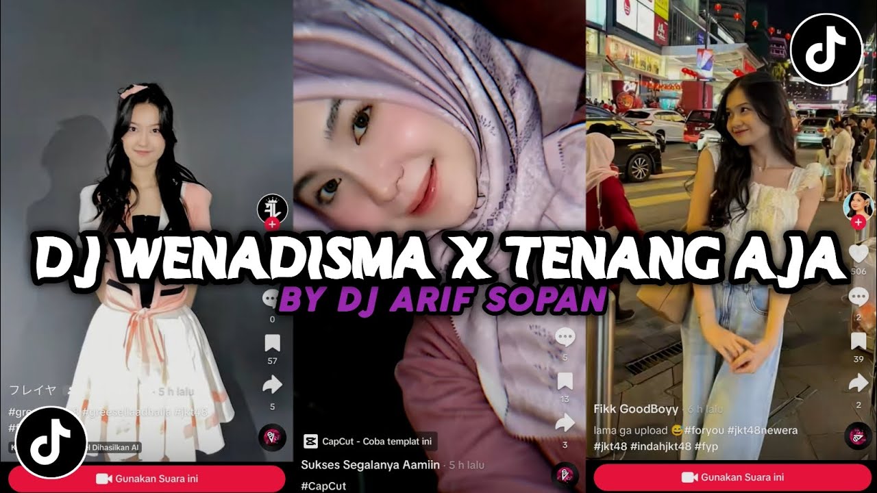 DJ WENADISMA X TENANG AJA BY DJ ARIF SOPAN VIRAL TIKTOK 2024