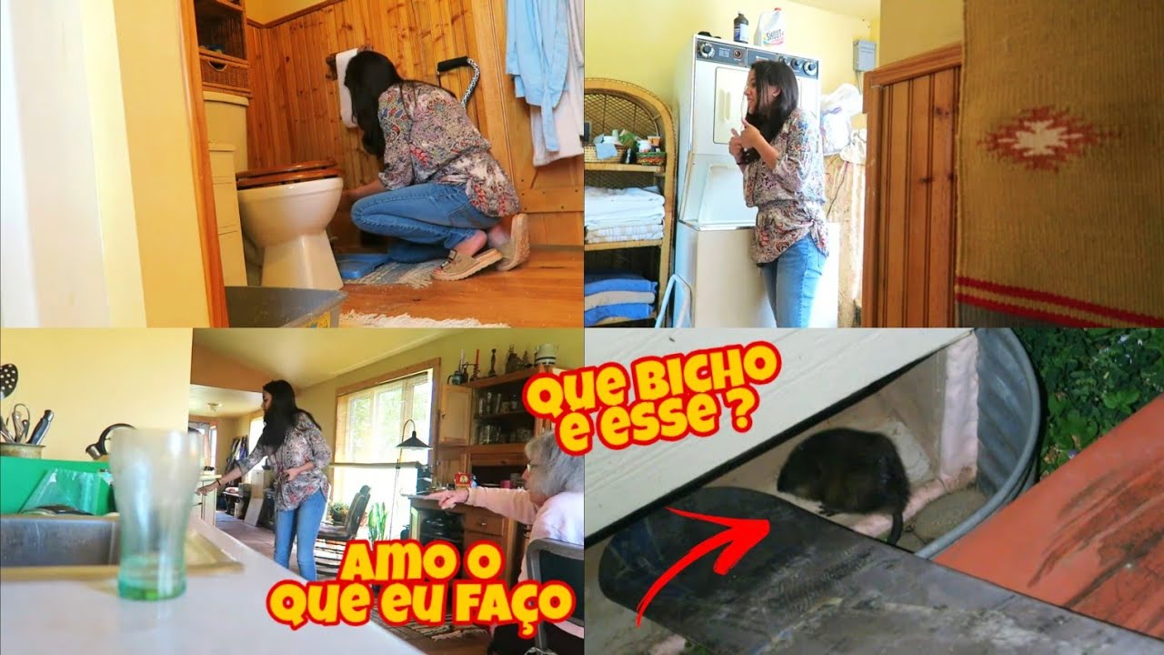 MOSTRANDO MEU NOVO TRABALHO -  APARECEU UM BICHO DIFERENTE EM CASA!!!