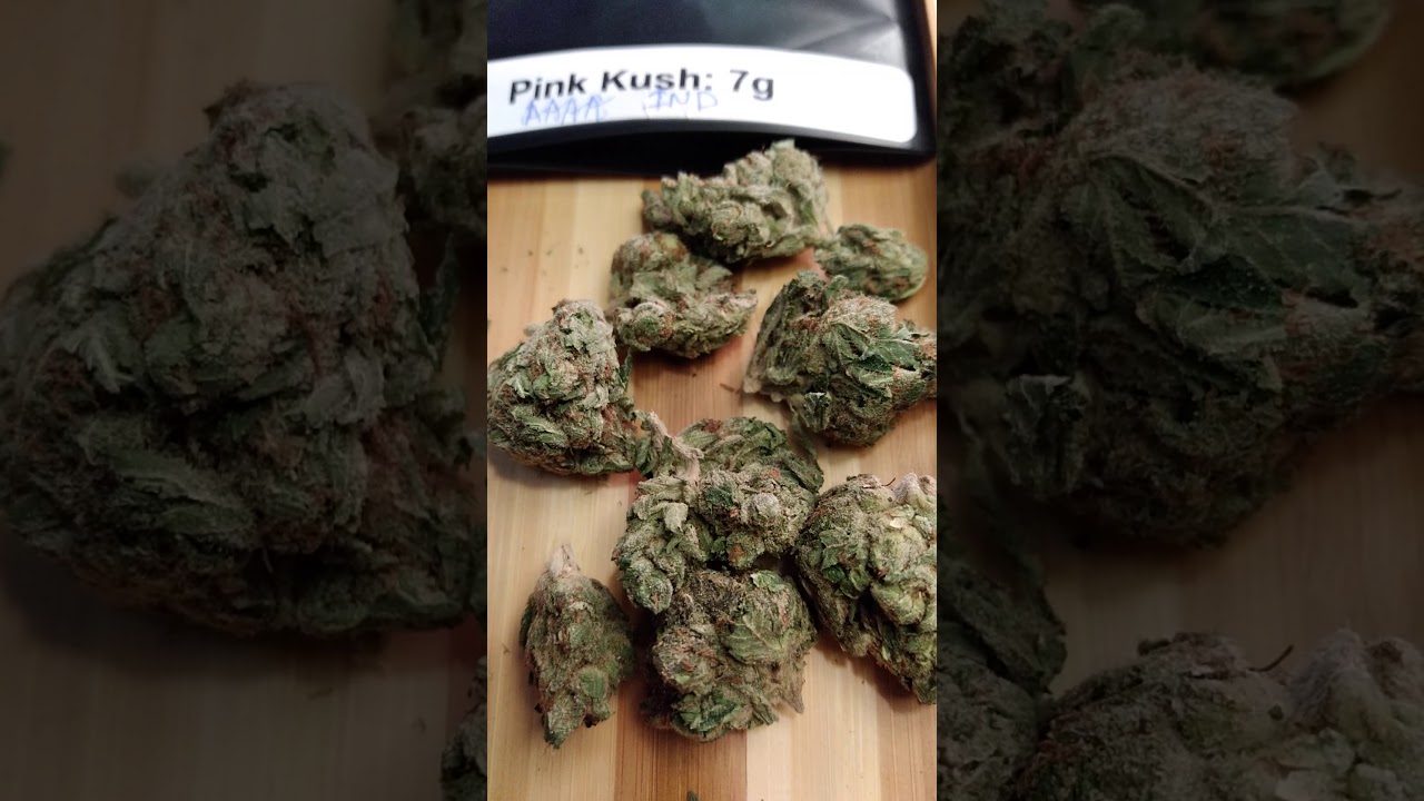 Pink Kush AAAA Indica by West Coast Cannabis