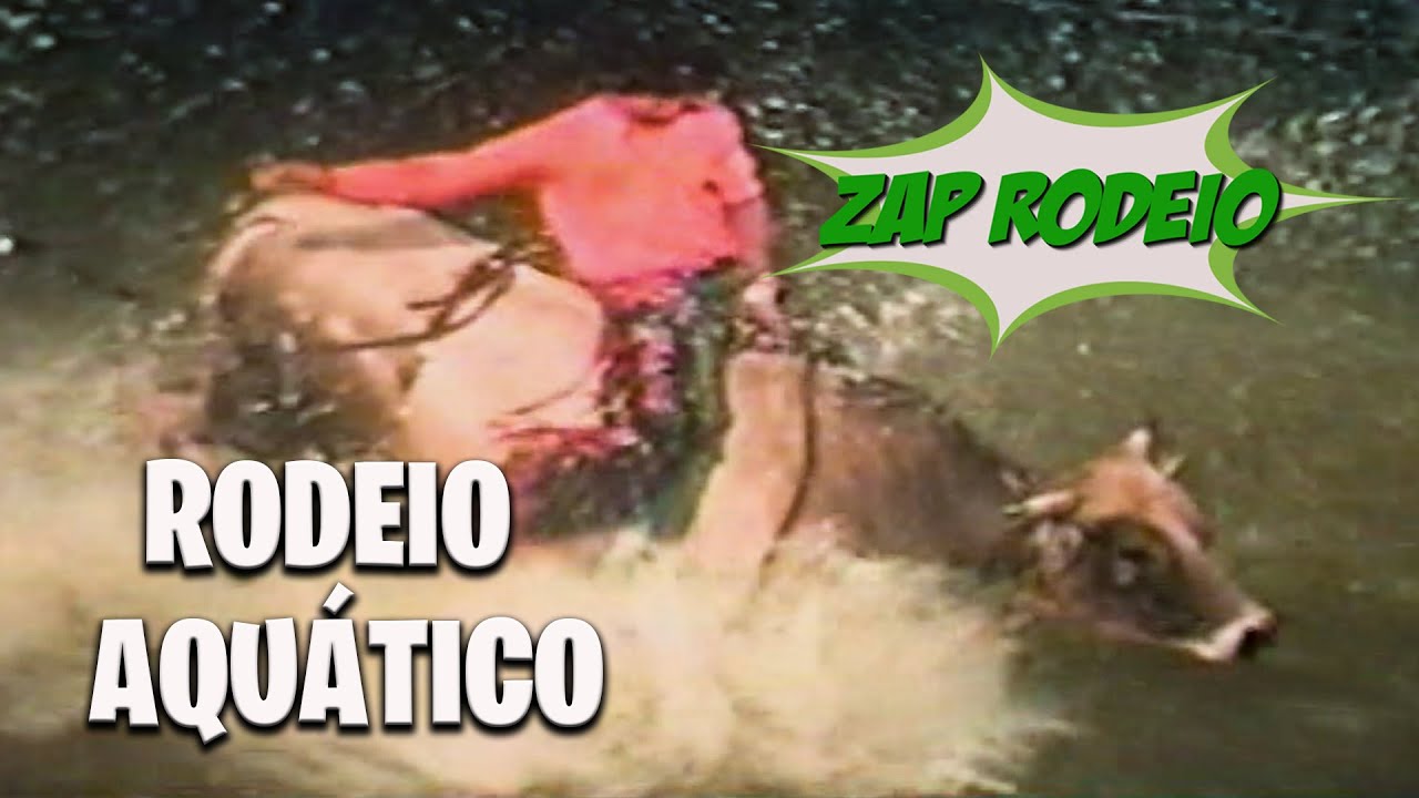 ✅ ZAP RODEIO #12