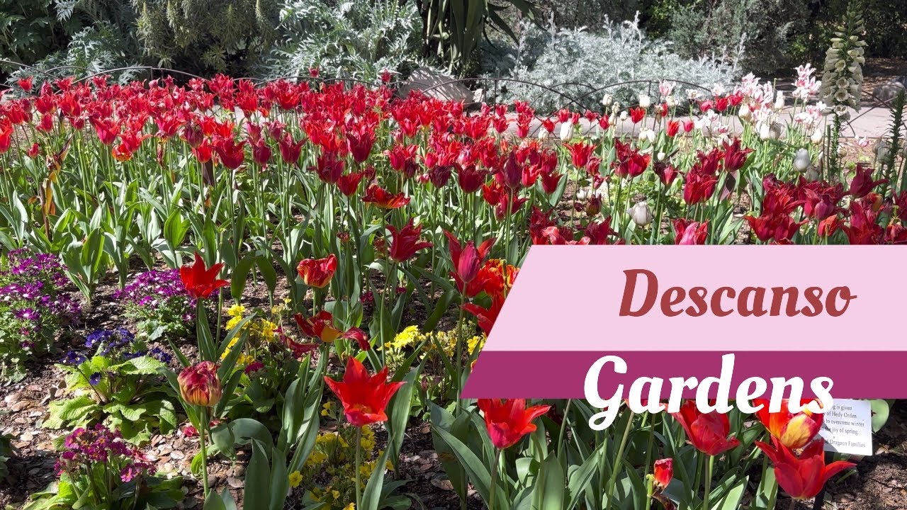 Descanso Gardens