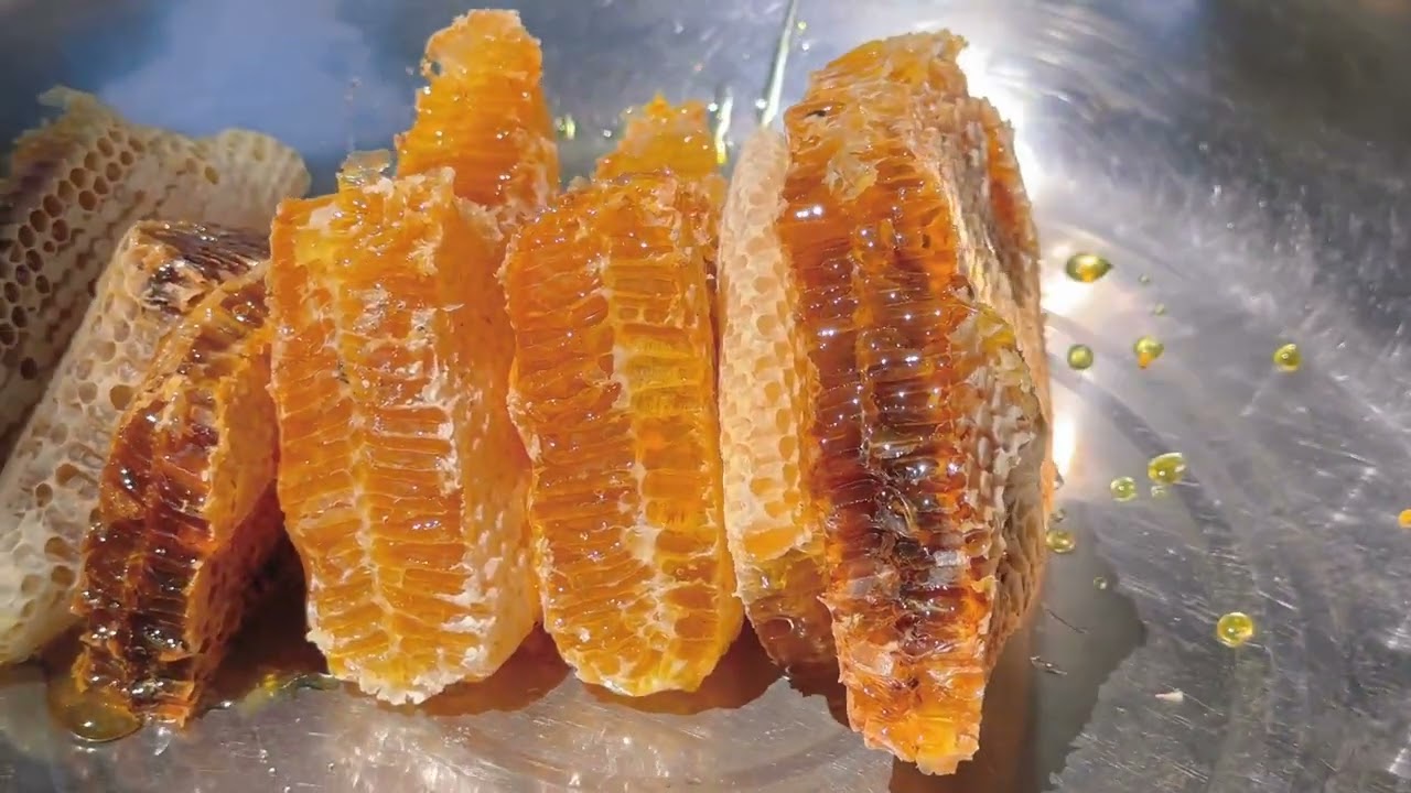 百花蜜；为朋友们准备现取蜂巢蜜、开箱满是惊喜蜂巢饱满金黄透亮 #百花蜂蜜  #2023  #蜂巢蜜 #春蜜