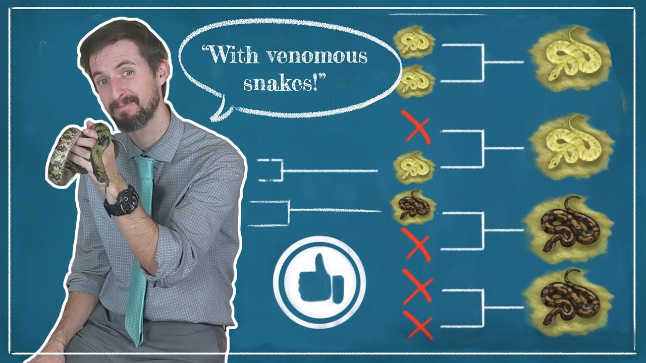 Clint Explains: Natural Selection and Variation