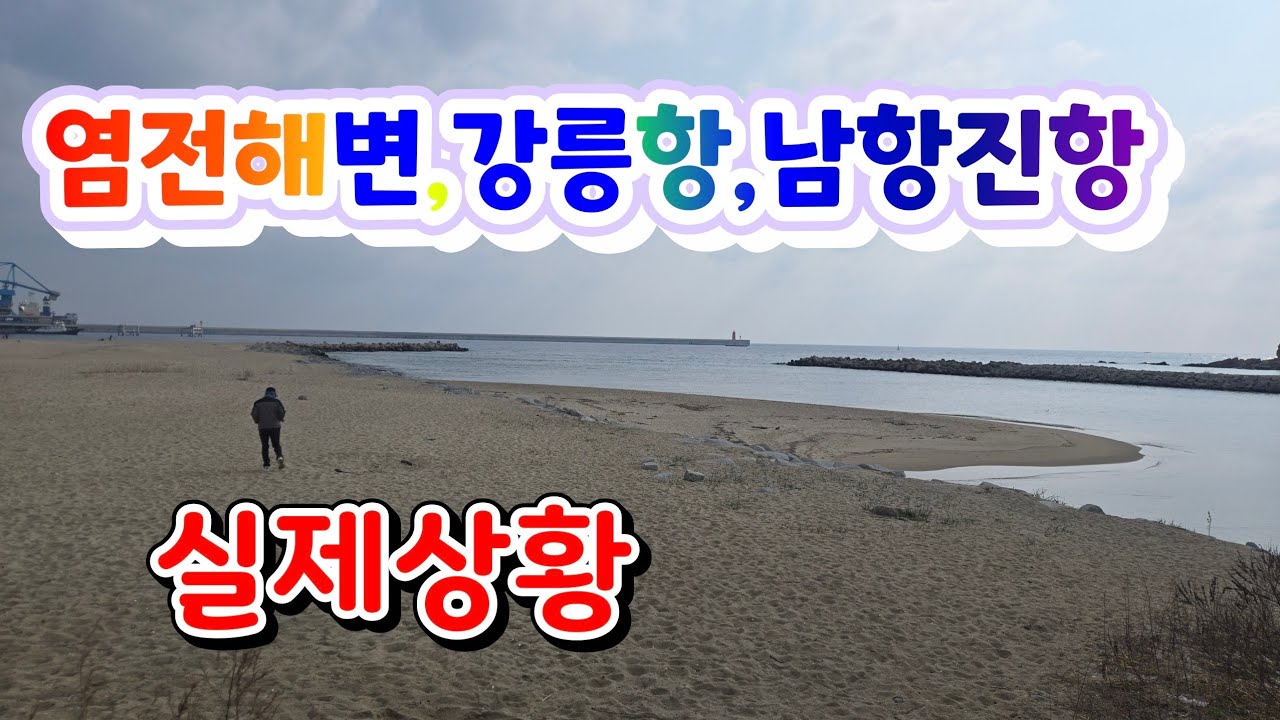 강릉염전해변,강릉항,남항진, 낚시 실제 실황!