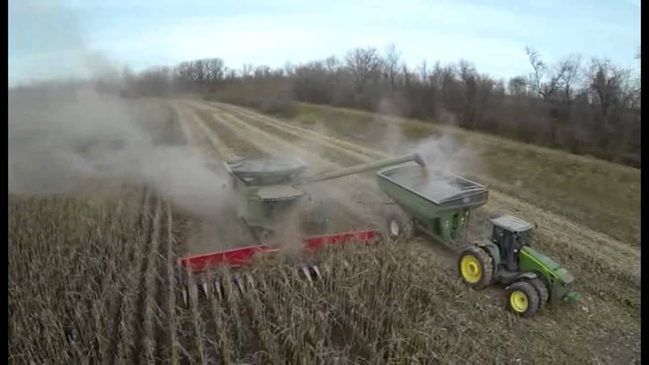 New Mainero MDD-100 Row-Independent Corn Head
