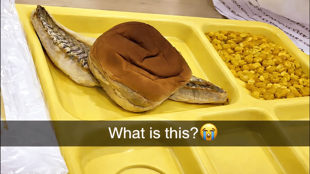 I Rated The WORST School Lunches Ever...