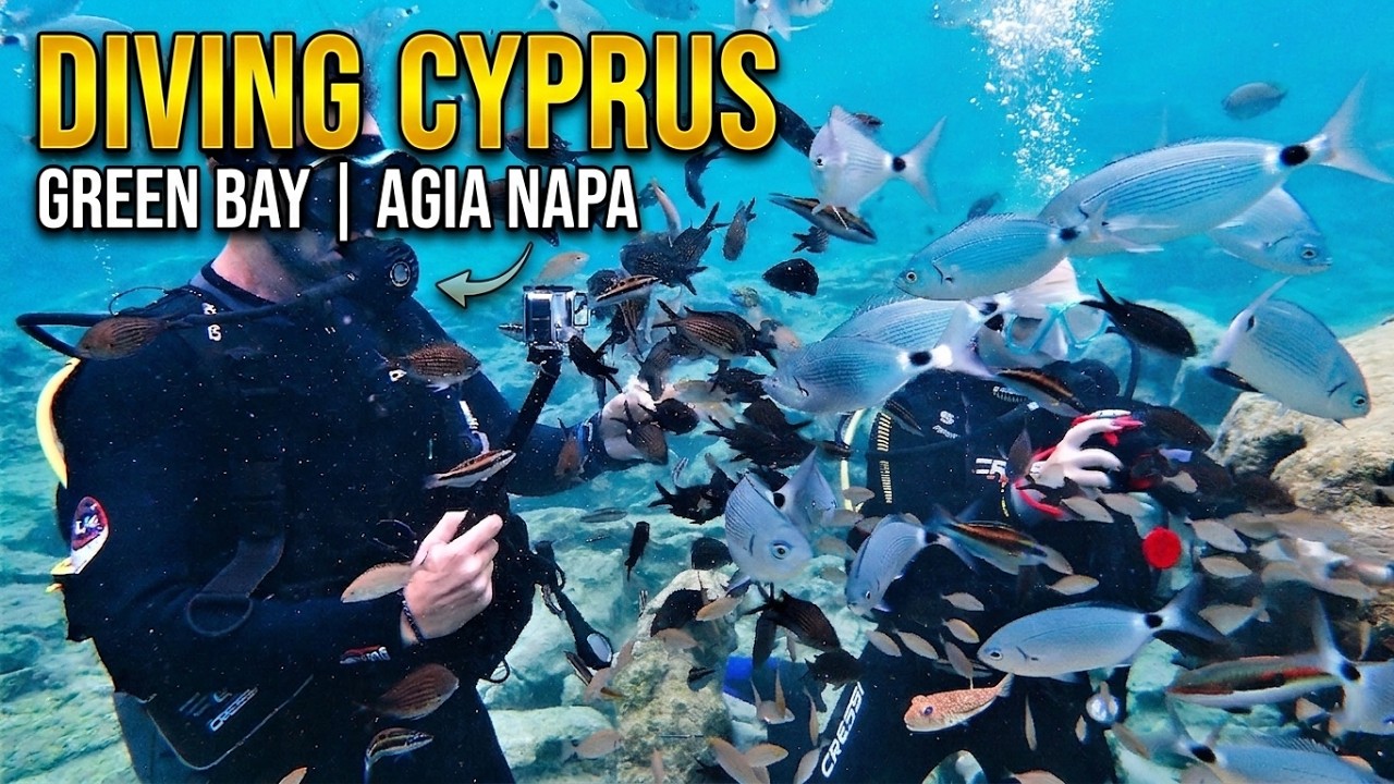 Diving in Cyprus | Green Bay | Agia Napa (Ayia Napa)