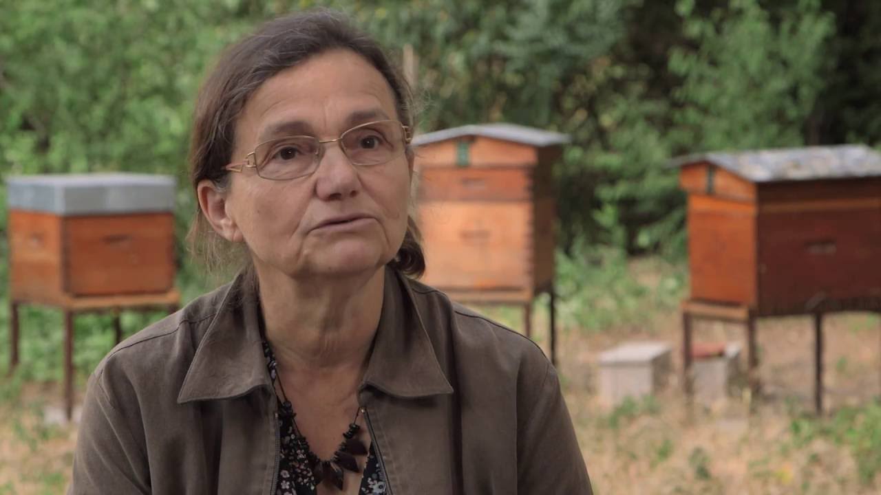 « L’énergie des abeilles »