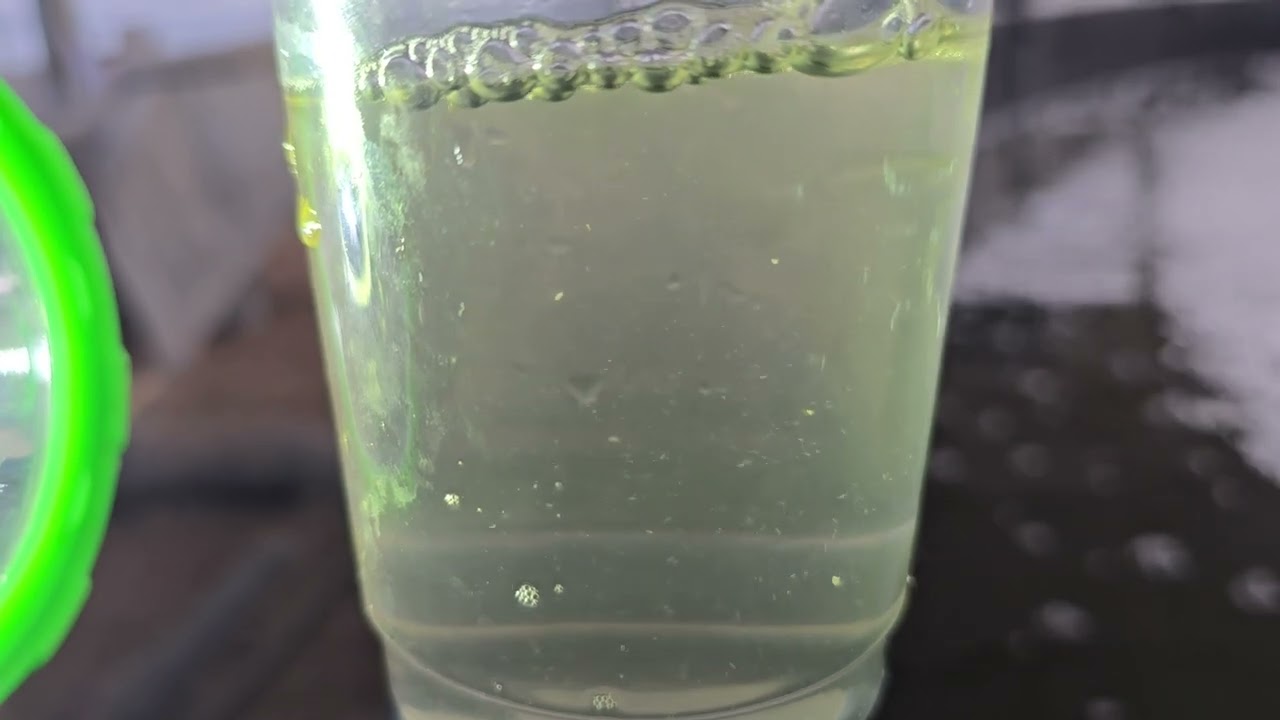 [Nông nghiệp và Thủy sản bền vững - VNBASAA] Copepod culture for post larvae of white leg shrimp