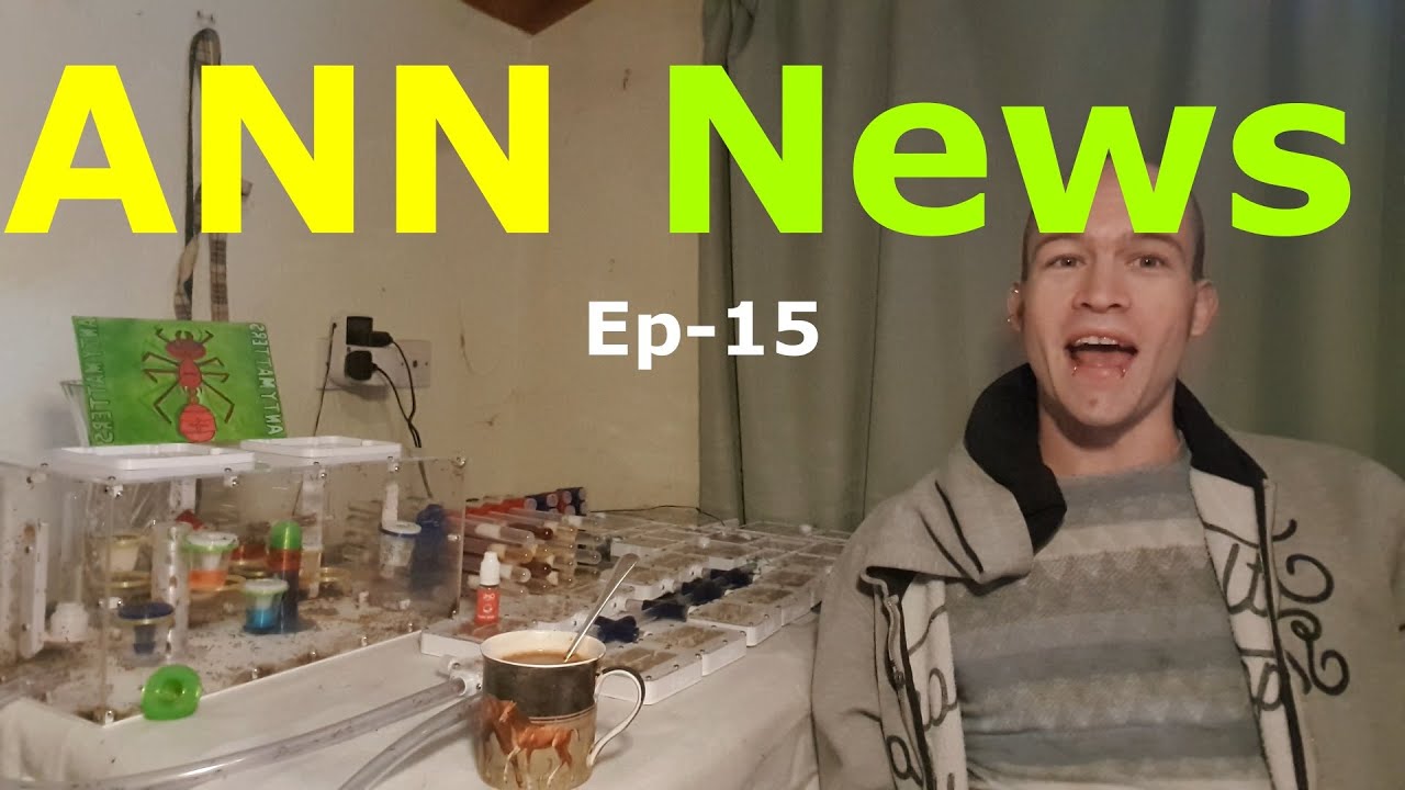 ANN News - Ep15 - Ants News Network