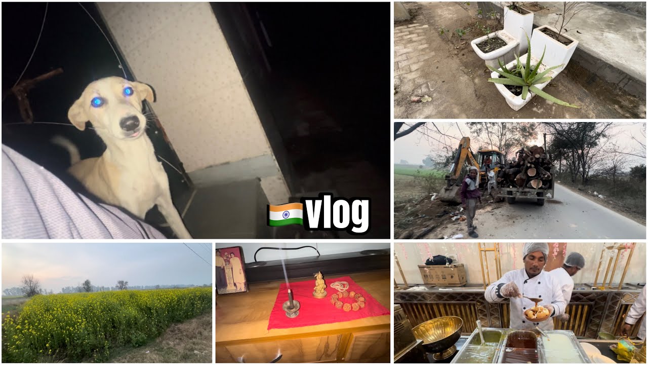 Day in a Haryanvi Jaat guy’s life