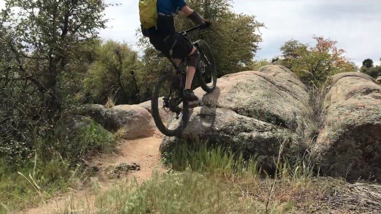 Willow Dells 4/30/2020