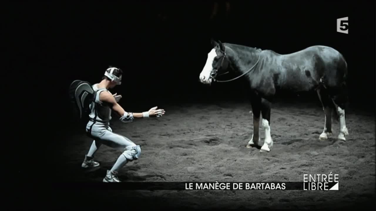 Zingaro : théâtre équestre
