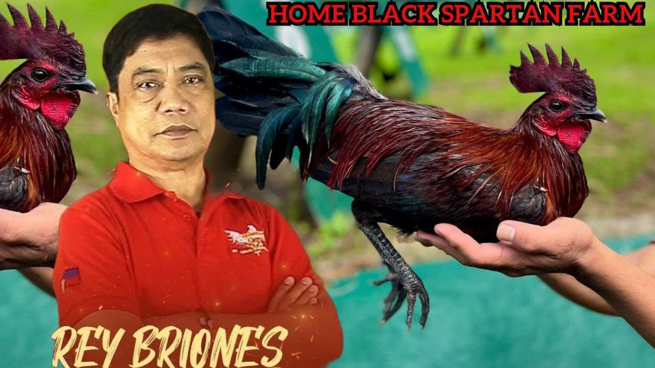 HOME OF THE BLACK - Tata Rey Briones Beautiful View Big Farm