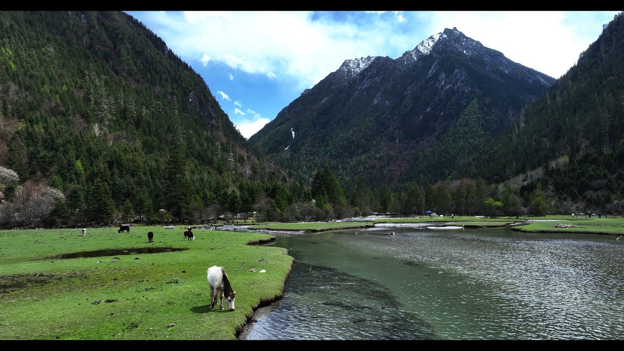 雪山映蓝湖，一路皆画 | 荷花海国家森林公园 | 环境音 | 云旅游 | 第一视角 | 4K