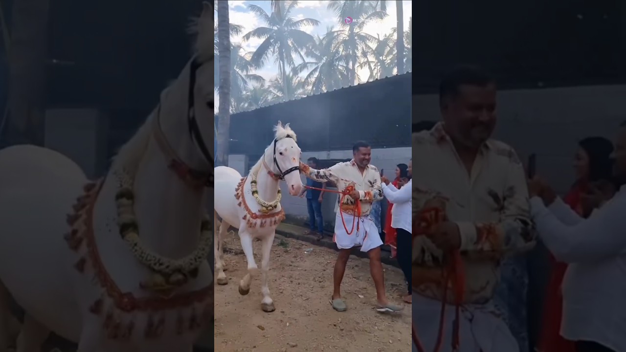 D BOSS Farm House 💫 | challenging star darshan #shorts #shortsfeed #shortsbeta