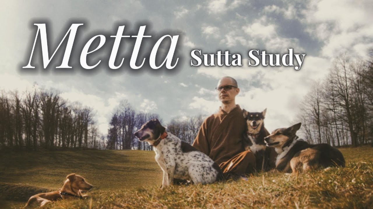 Metta Sutta Study