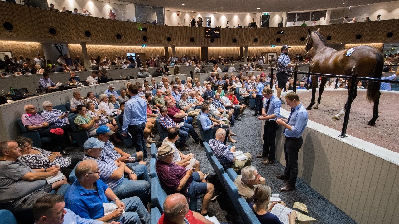 Sales Arena - 2026 Premier Yearling Sale - Day 3