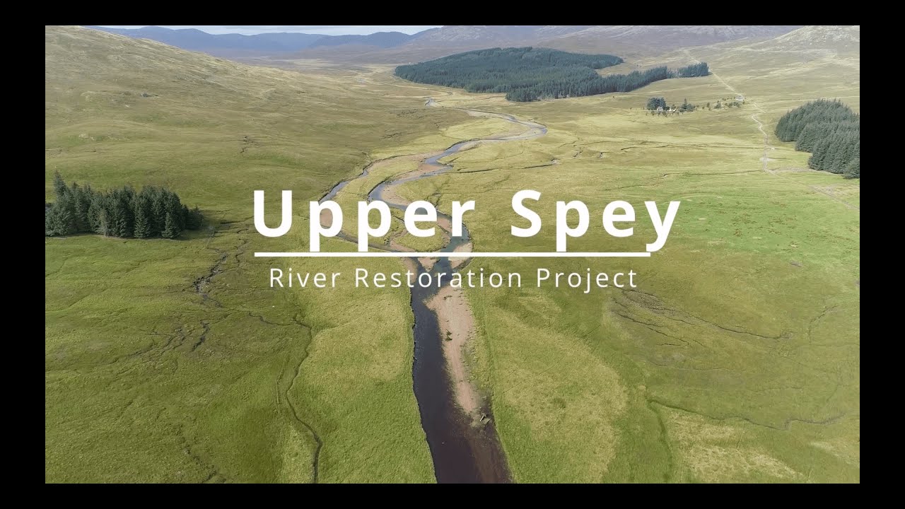 Upper Spey River Restoration Project