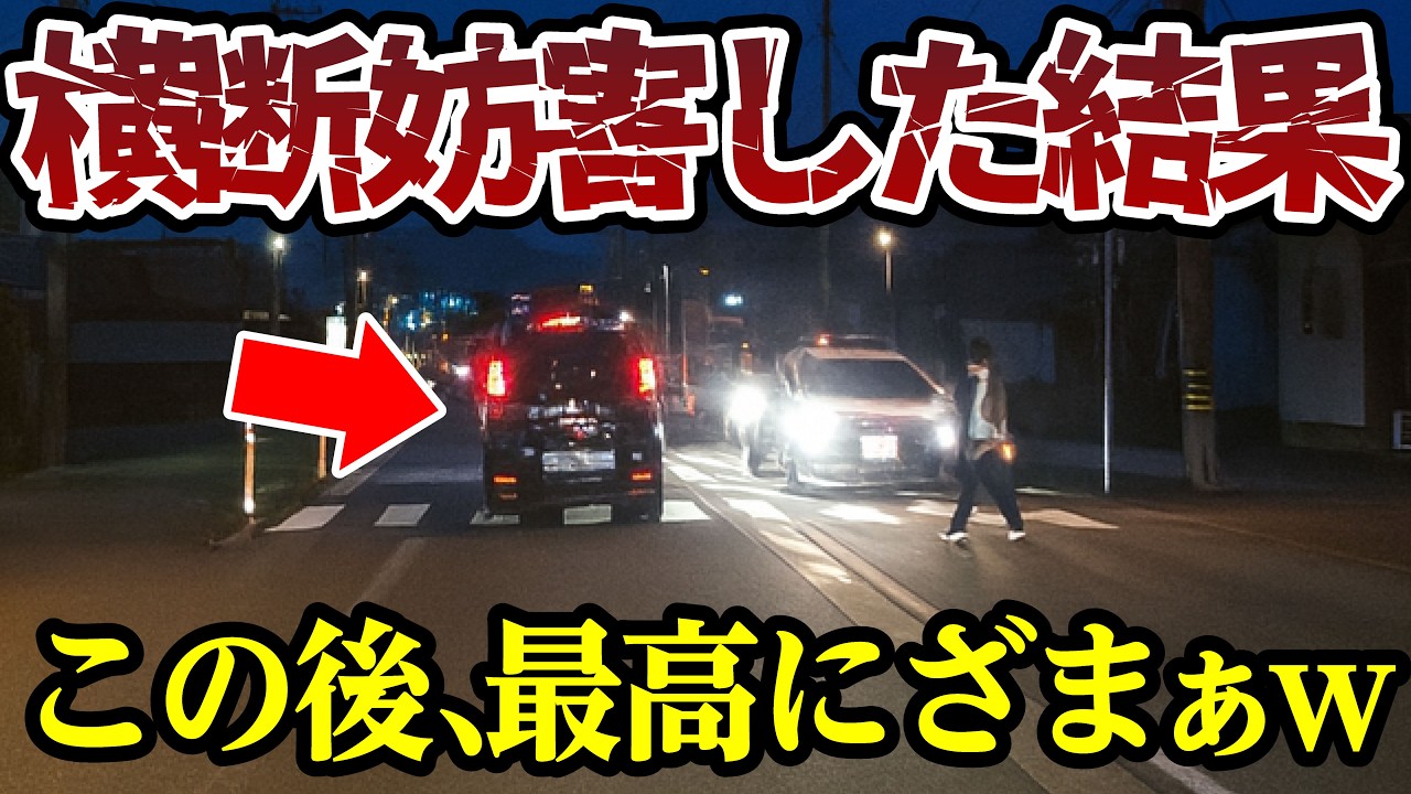 横断妨害をした結果、正義の鉄槌がくだる、最高にスカッと 【閲覧注意】交通事故・危険運転 衝撃の瞬間【441】