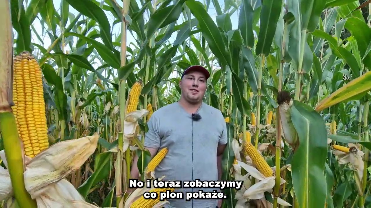 opinie Gospodarzy województwo lubelskie/kukurydza 2023
