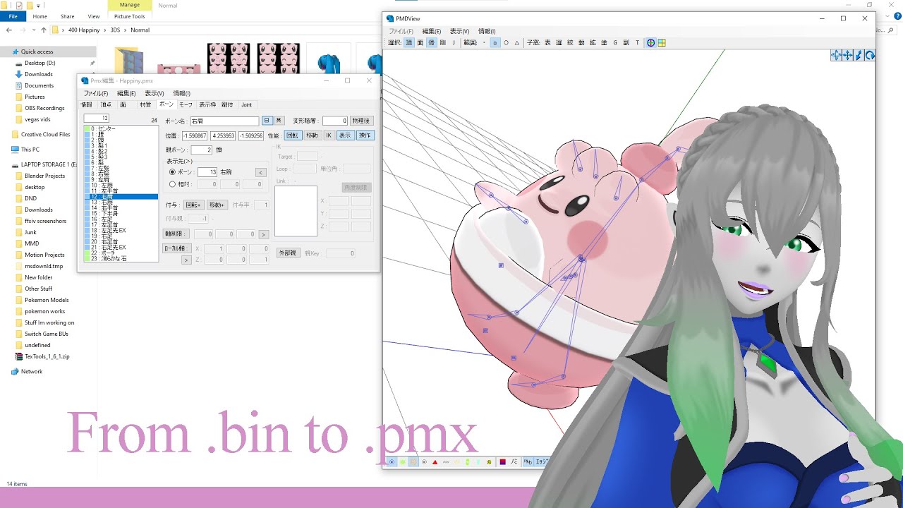 How to Rip and convert 3DS Pokemon Models for MMD