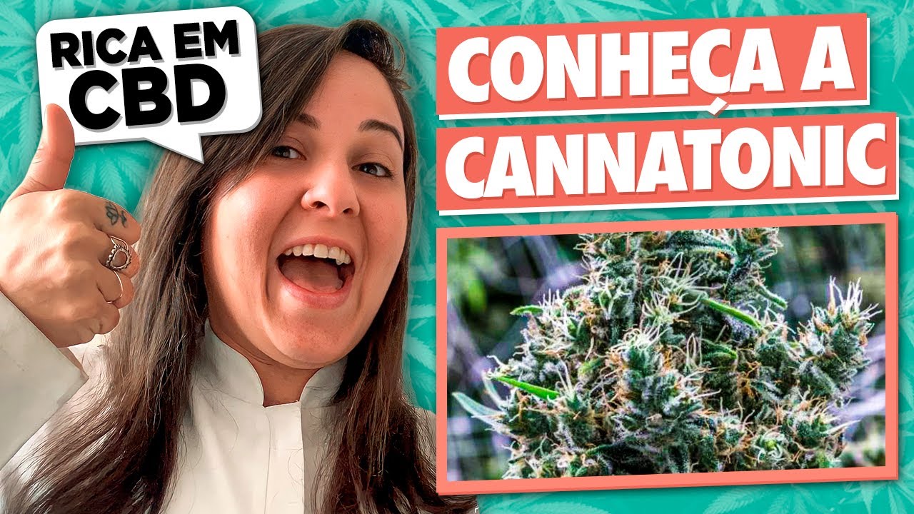STRAIN REVIEW: CANNATONIC PLANTA RICA EM CBD l Enfercannabica