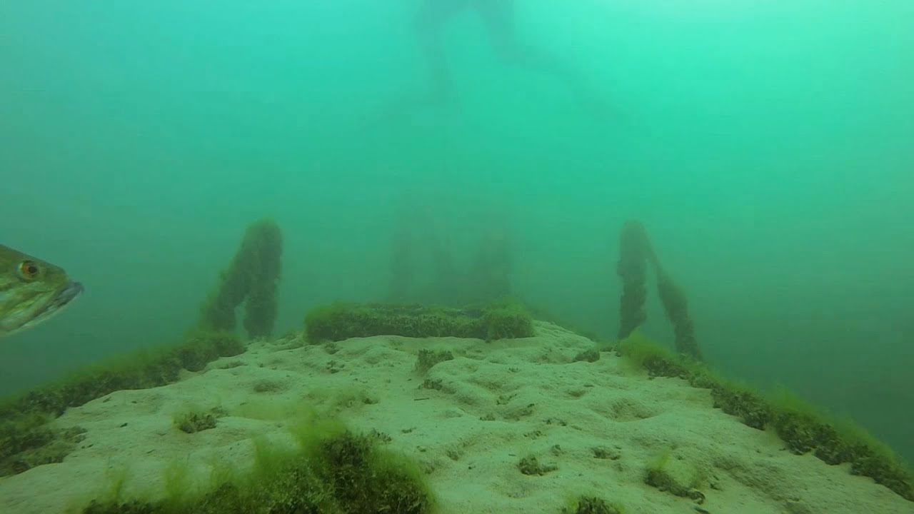 Scuba Diving Lake Havasu