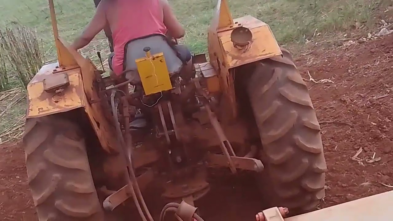 plantando milho 🧑‍🌾🤠🌽🌽🌽🌽