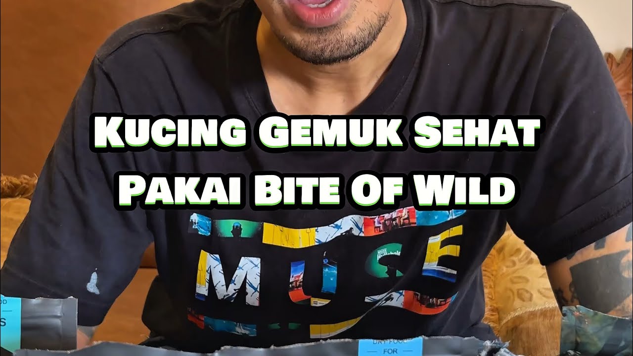 4 Varian Bite Of Wild Grain Free Cat Food. Gemukin kucing dengan cara yang sehat.