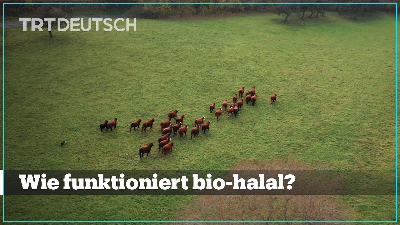 Josef’s Bio - Wie funktioniert bio-halal?